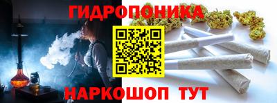 сатива Балахна
