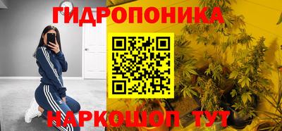 сатива Балахна