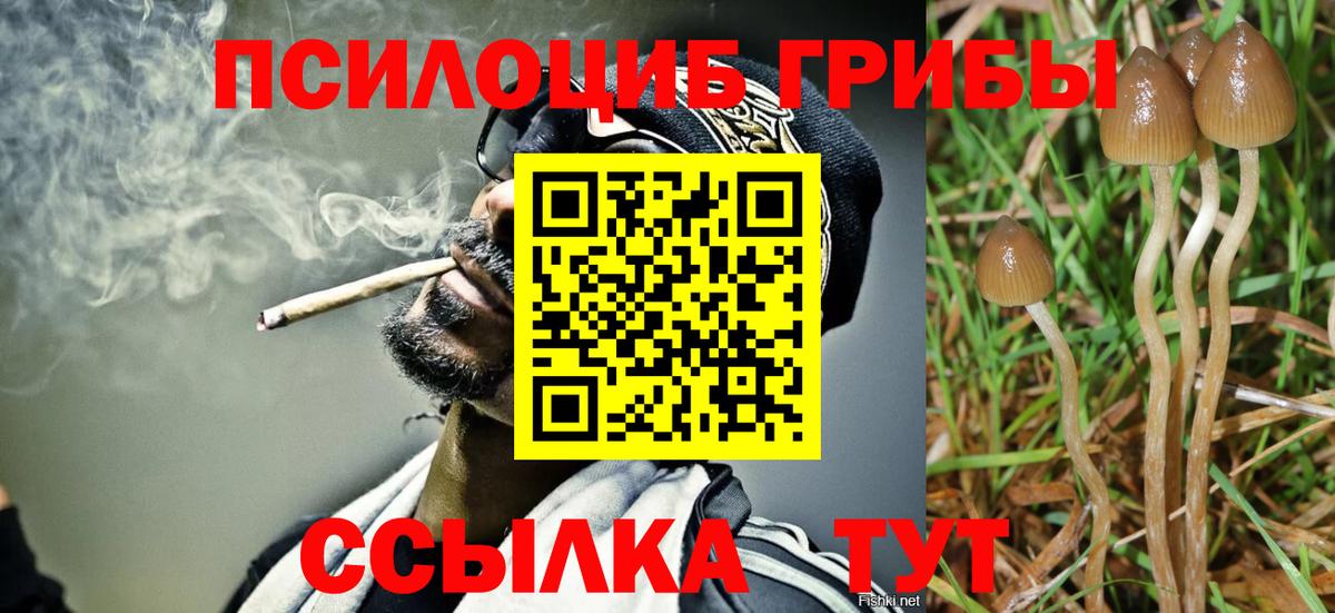Псилоцибиновые грибы Psilocybine cubensis  Вход с VPN  Гуково 